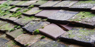 Cynwyl Elfed roof repair costs
